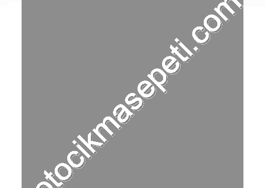 VİTES TOPUZU COROLLA 07-18 AURIS 07-18 AVENSIS 07-18 YARIS 07-18