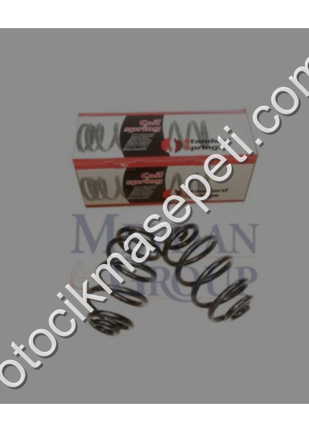 Bmw 3 SerıE30 Arka Helezon Yayı Sağ/Sol Aynı 2Li Set 320I/323I/32